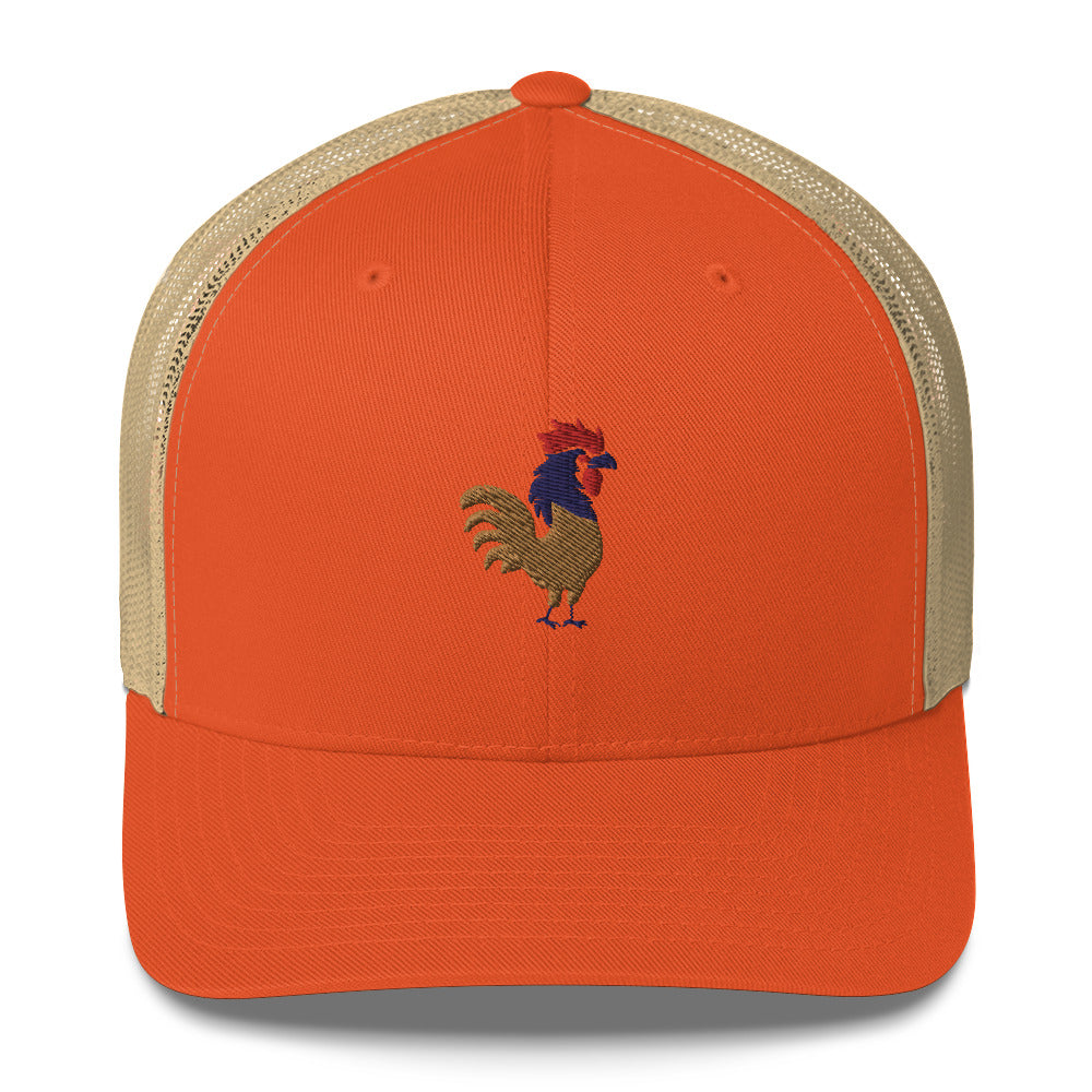A Beautiful Problem | Embroidered Trucker Cap