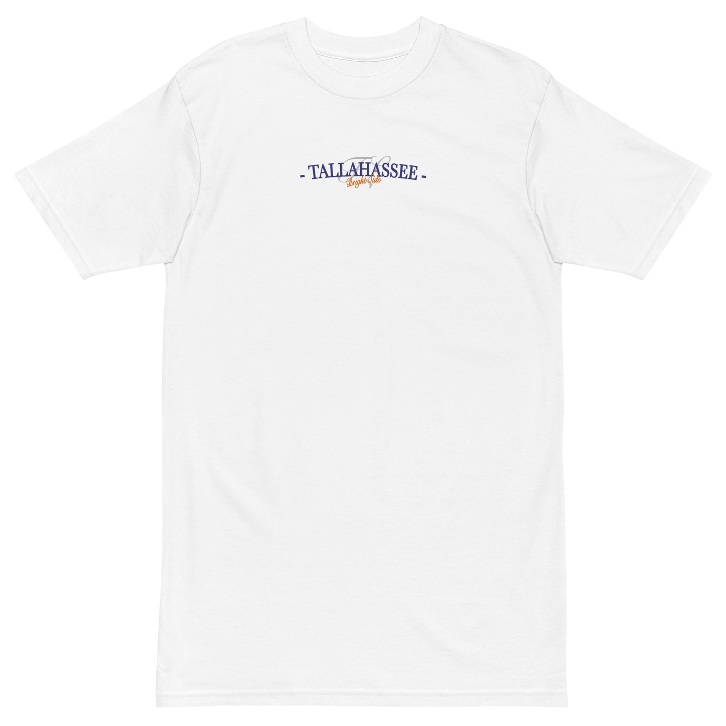 Florida, Tallahassee | Men’s premium heavyweight tee