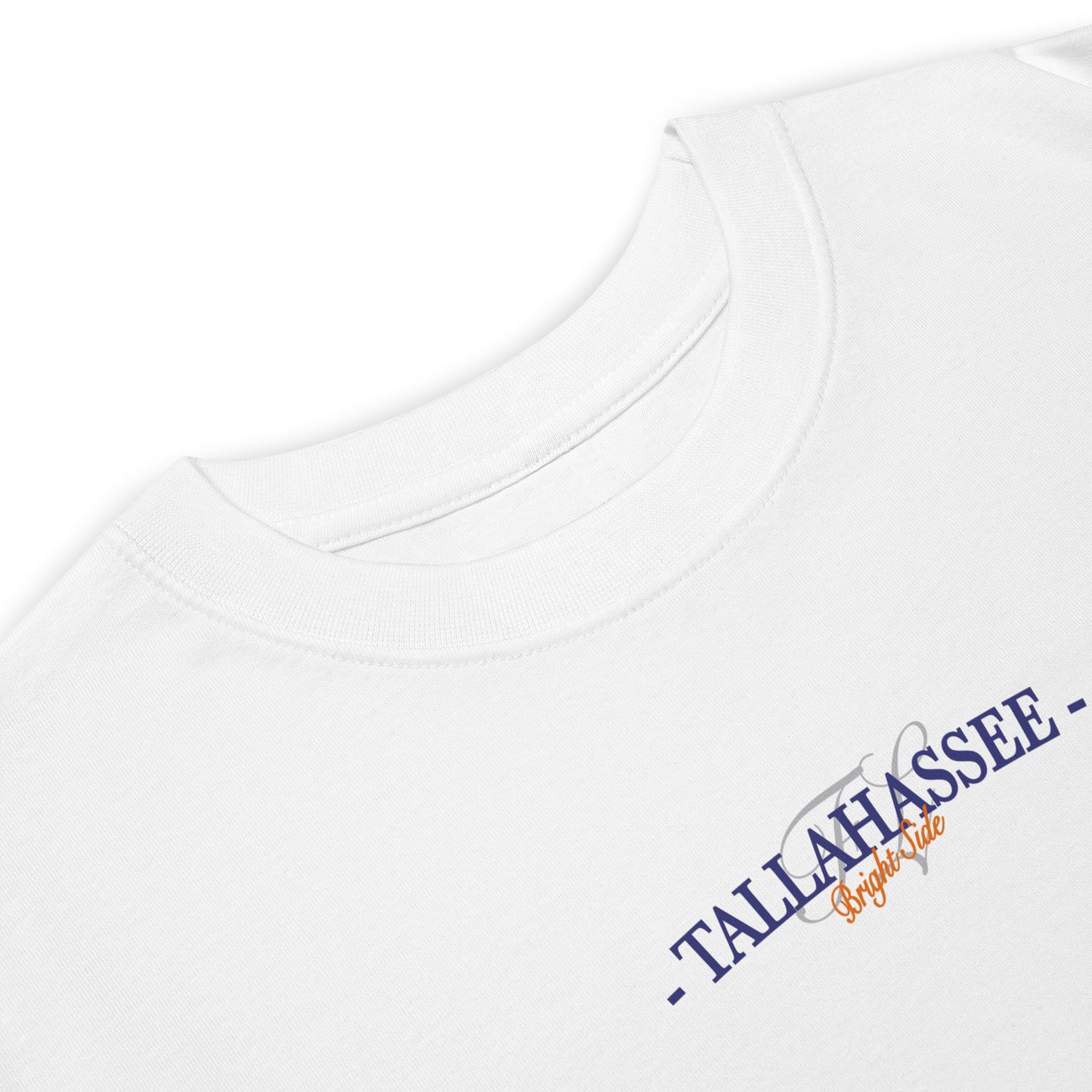 Florida, Tallahassee | Men’s premium heavyweight tee