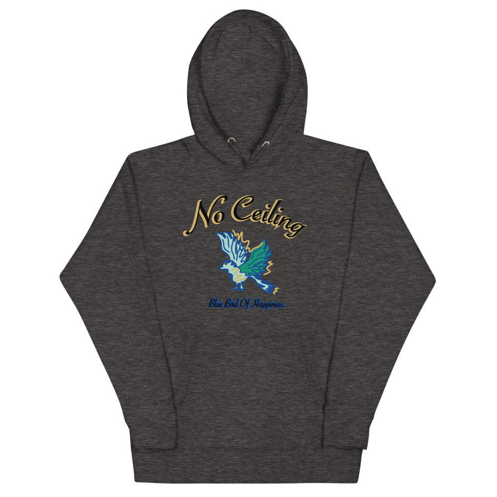 No Ceiling | Unisex Hoodie