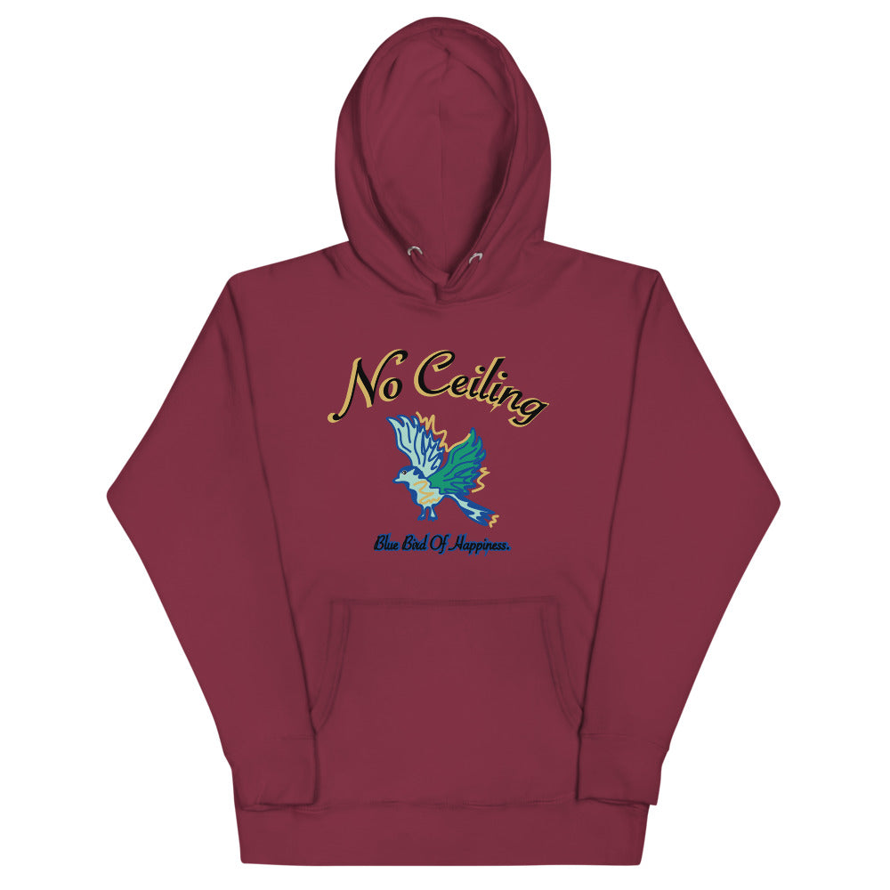 No Ceiling | Unisex Hoodie