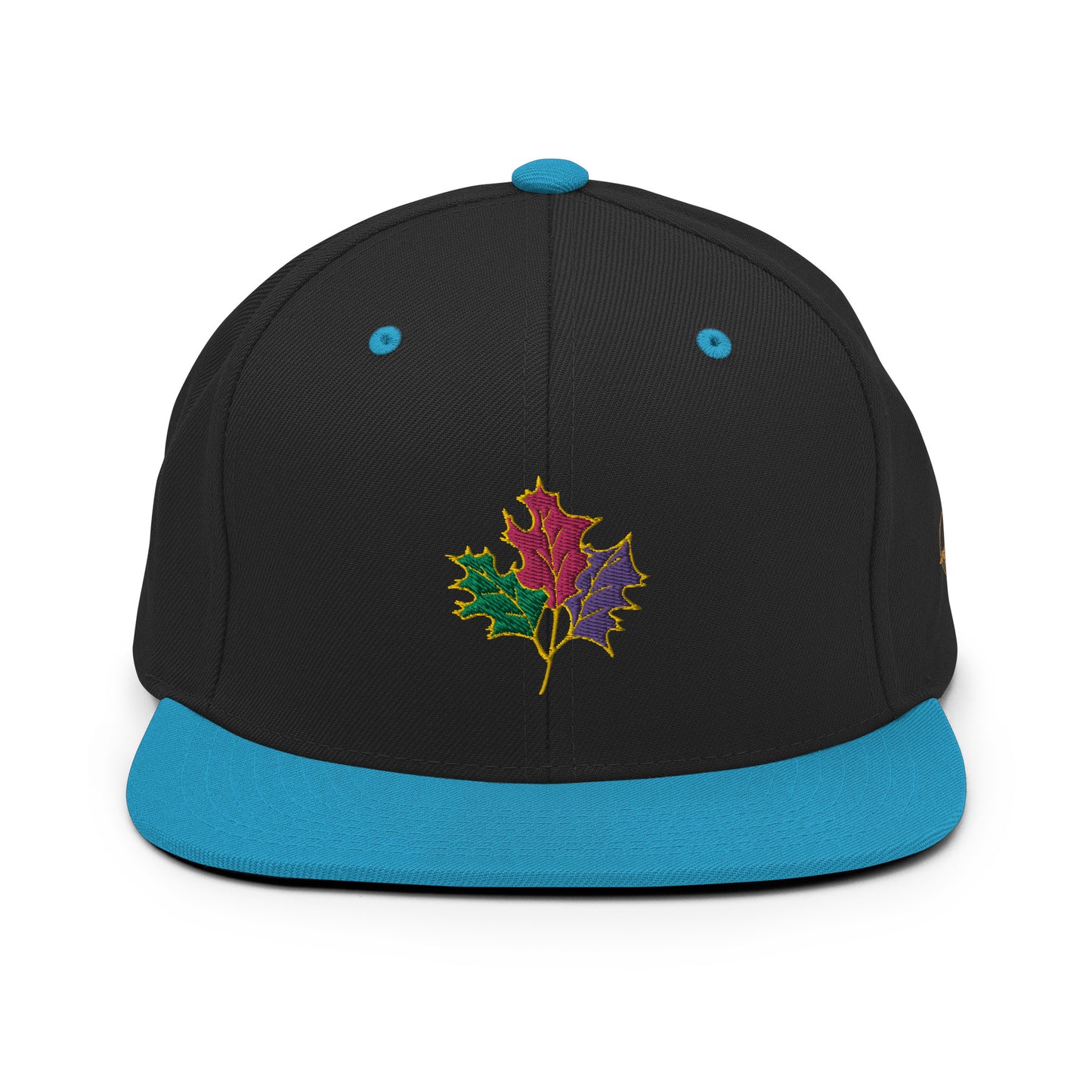 Seasons Change | Snapback Hat