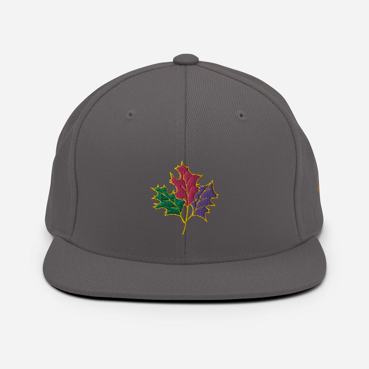 Seasons Change | Snapback Hat