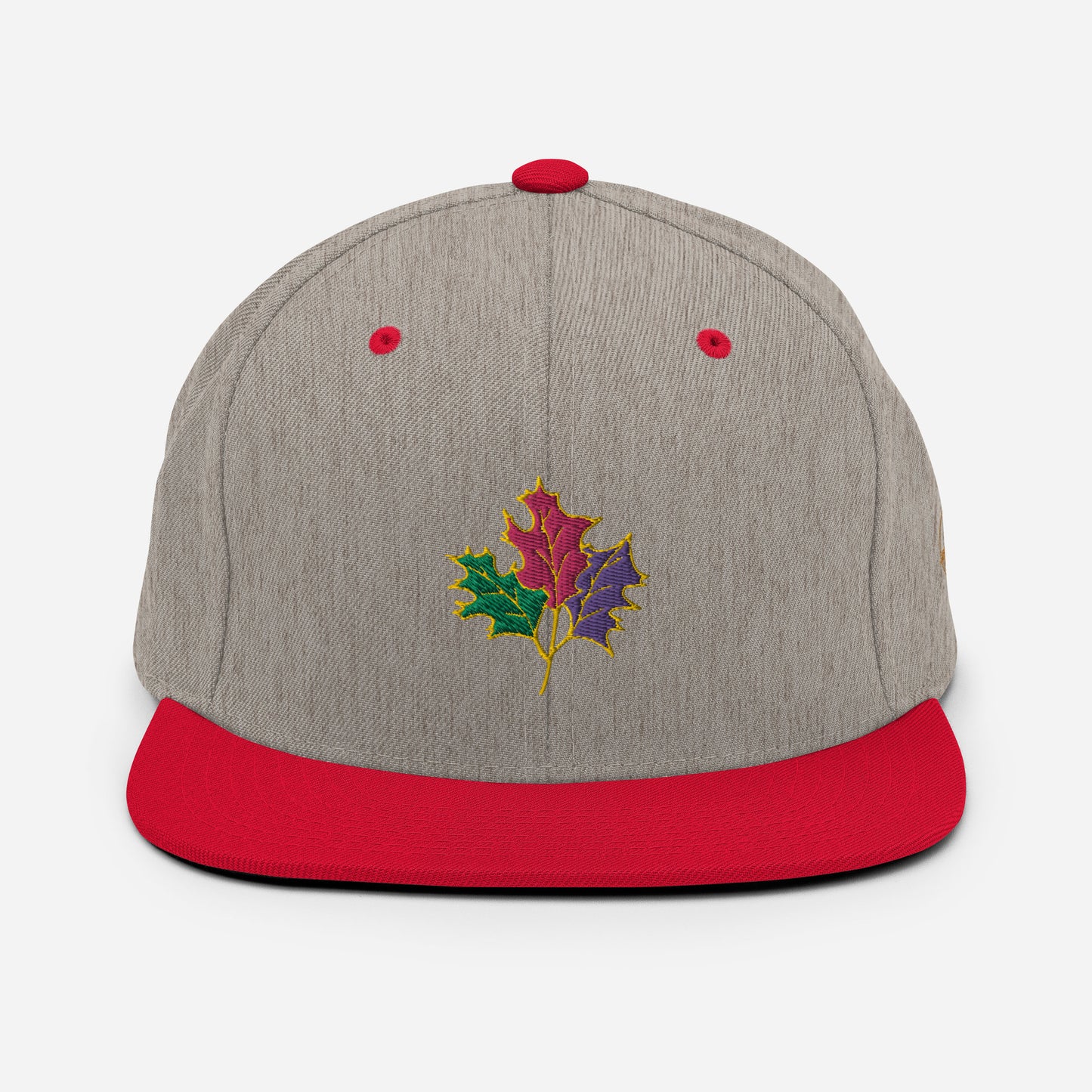 Seasons Change | Snapback Hat