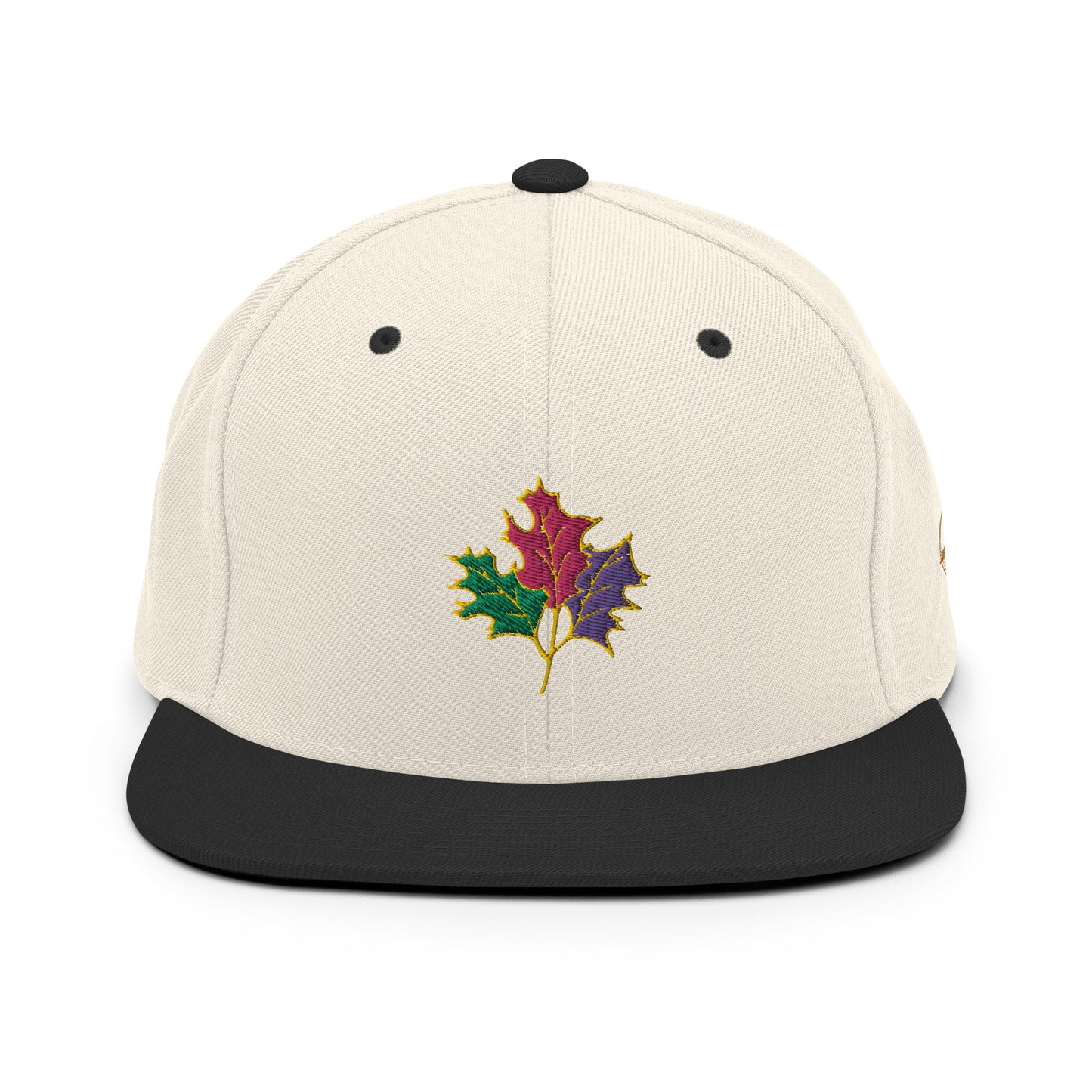 Seasons Change | Snapback Hat