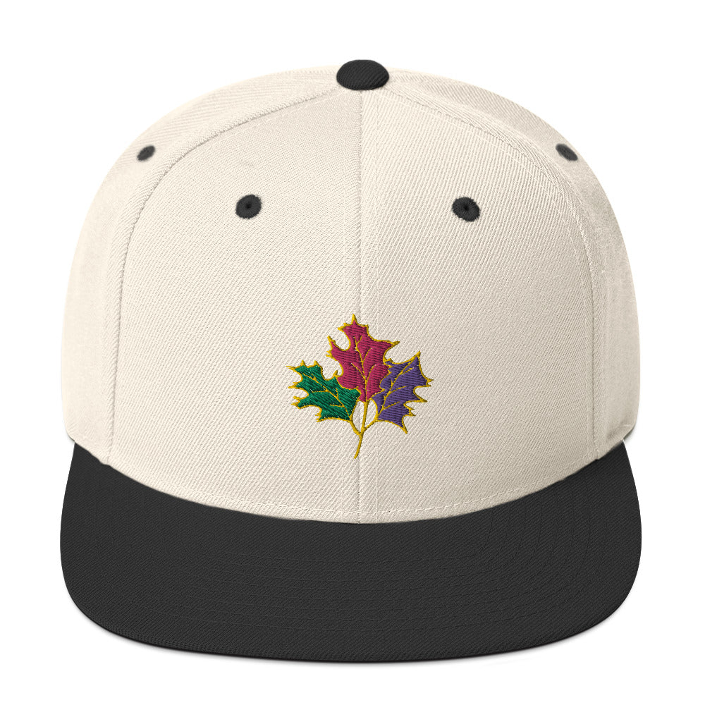 Seasons Change | Snapback Hat