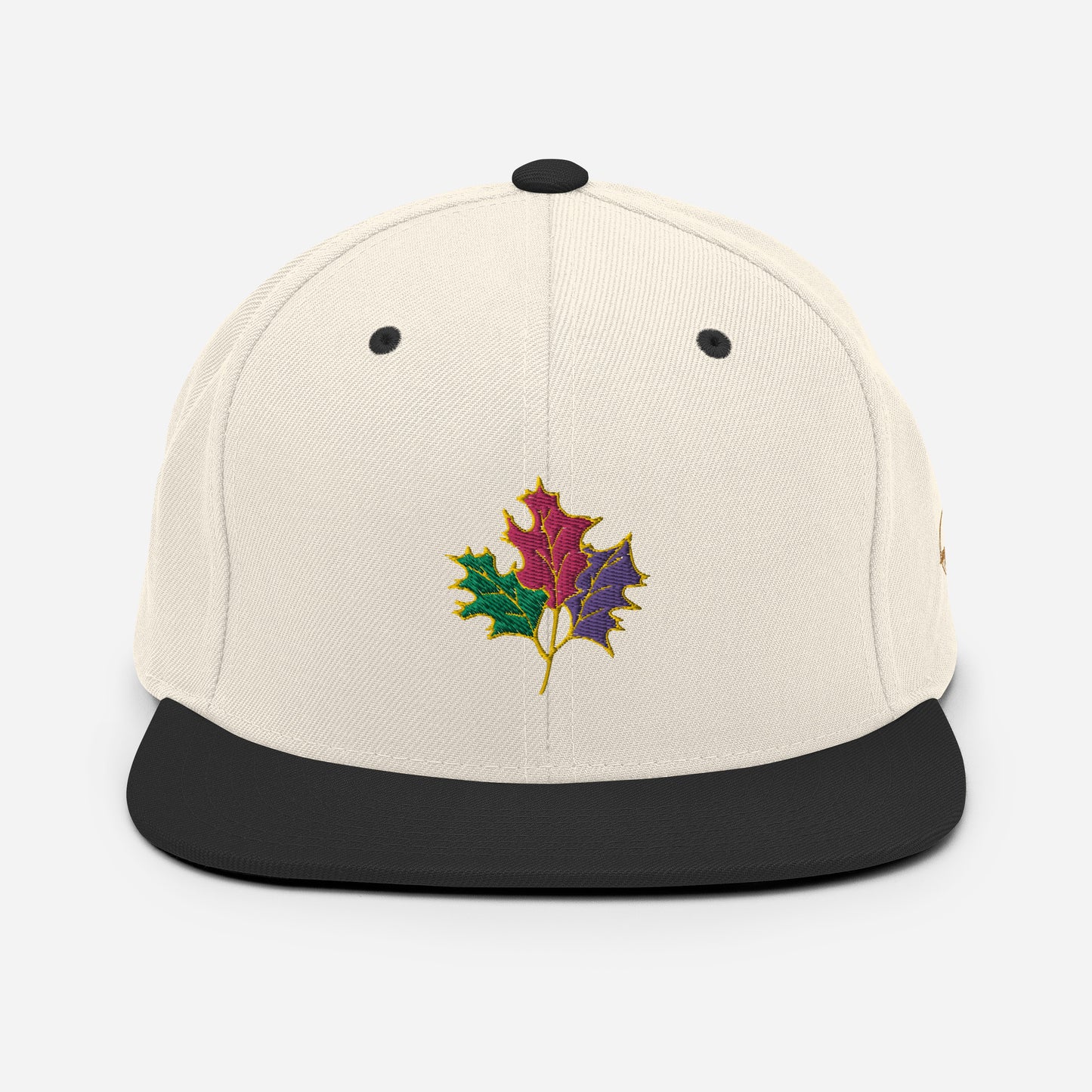 Seasons Change | Snapback Hat