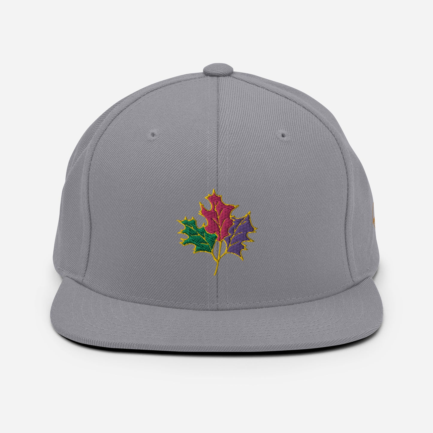 Seasons Change | Snapback Hat