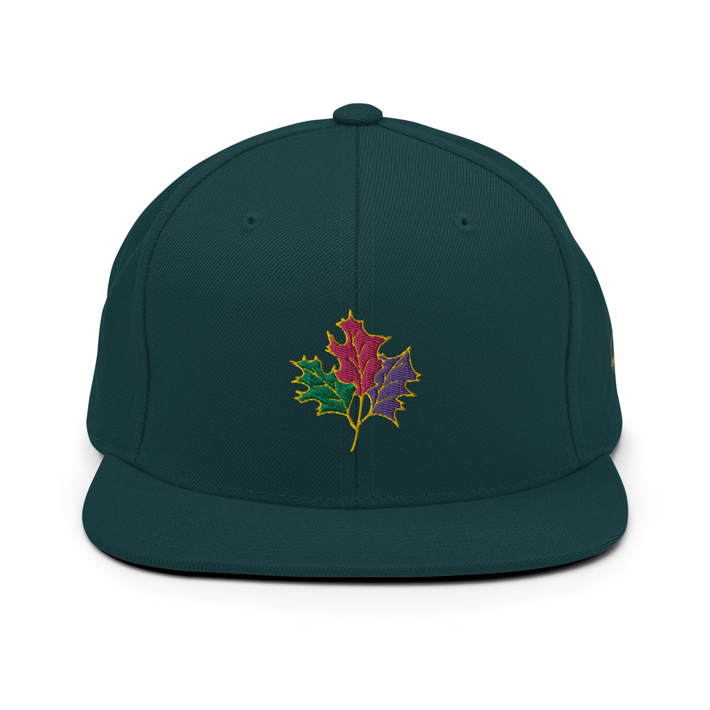 Seasons Change | Snapback Hat