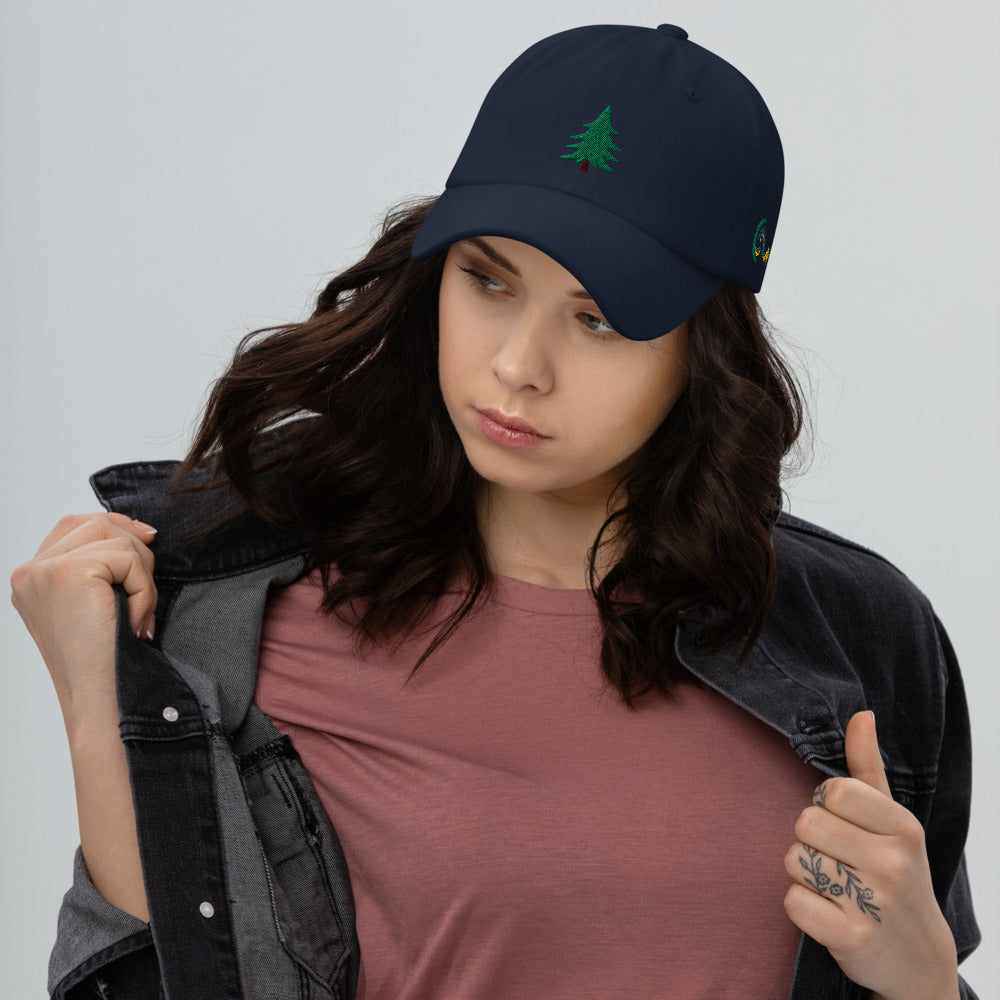 Embrace The Unknown | Dad hat
