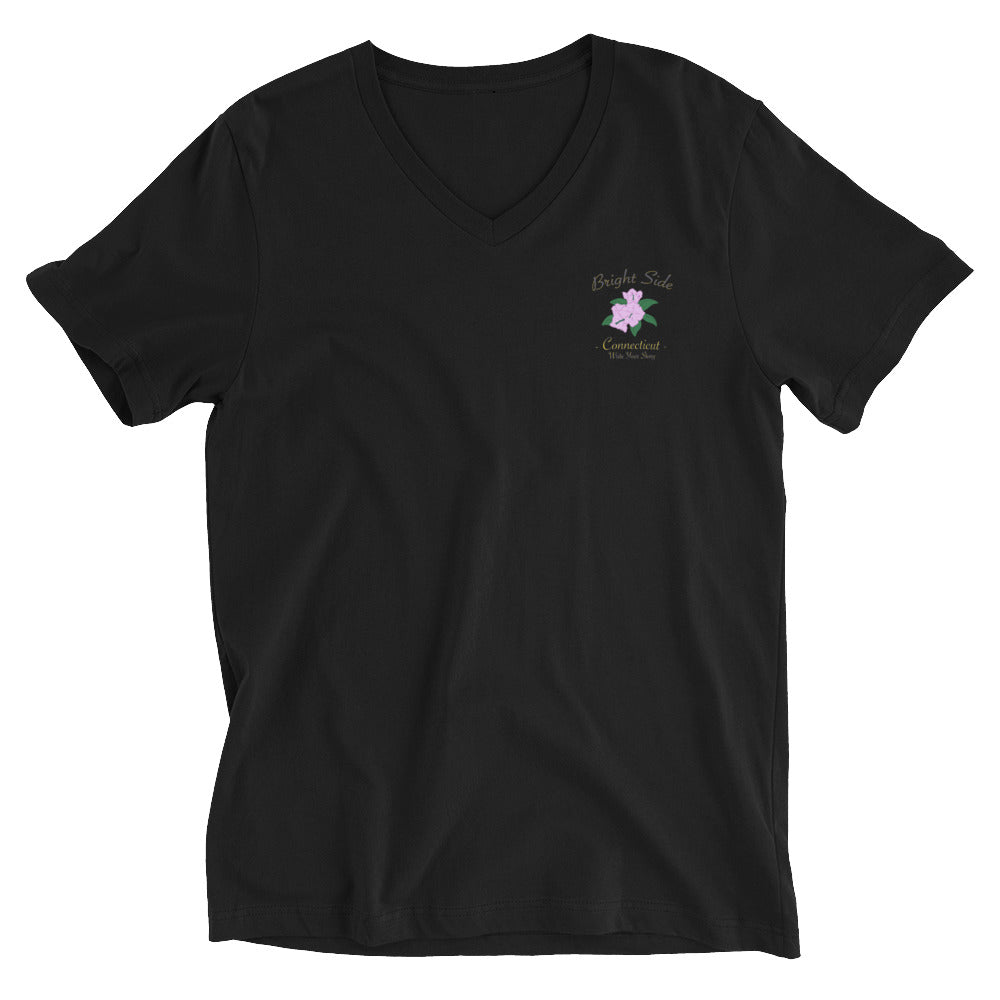 Connecticut | V-Neck