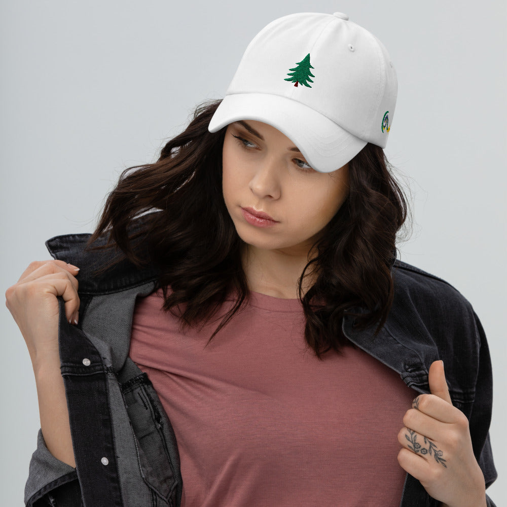 Embrace The Unknown | Dad hat